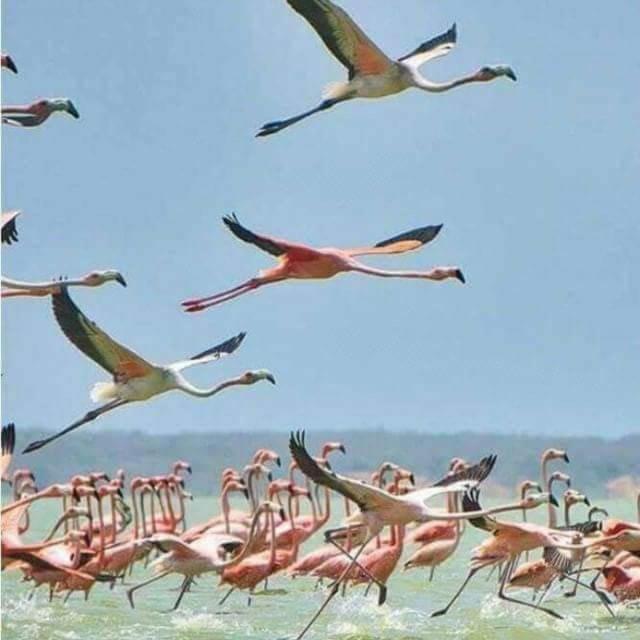 Camarones Hostal Castillo Del Mar מראה חיצוני תמונה